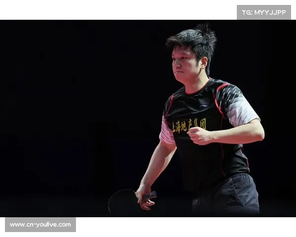 国乒伦敦世乒赛团体赛选拔办法出炉，樊振东凭全运冠军获直通资格